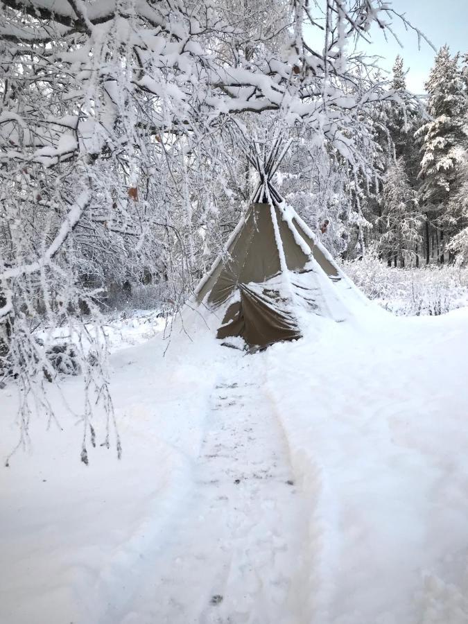 Villa Orohat 2 Rovaniemi Esterno foto